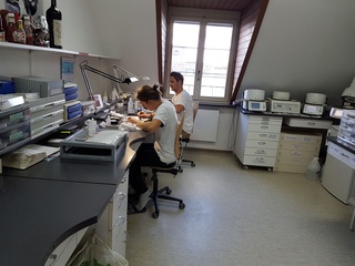 Alain und Ron im Labor
